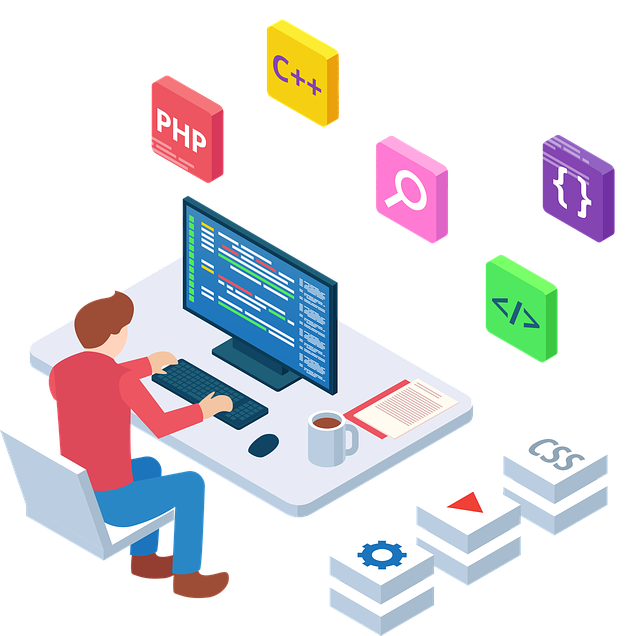 developer